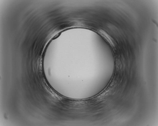 X0000097981292200804141108