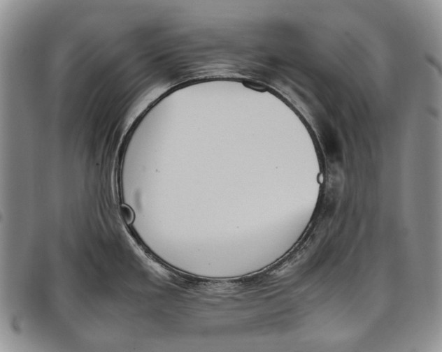 X0000097981293200804141108