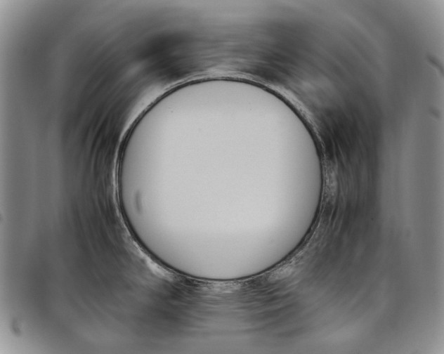 X0000097981294200804141108