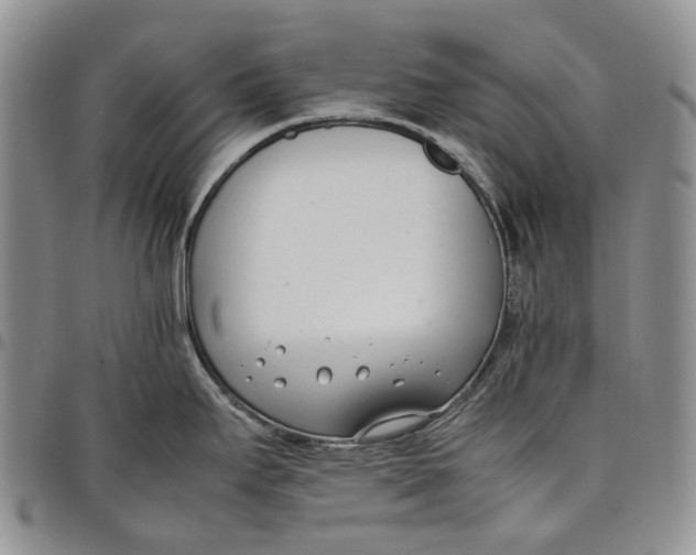 X0000097981295200804141108