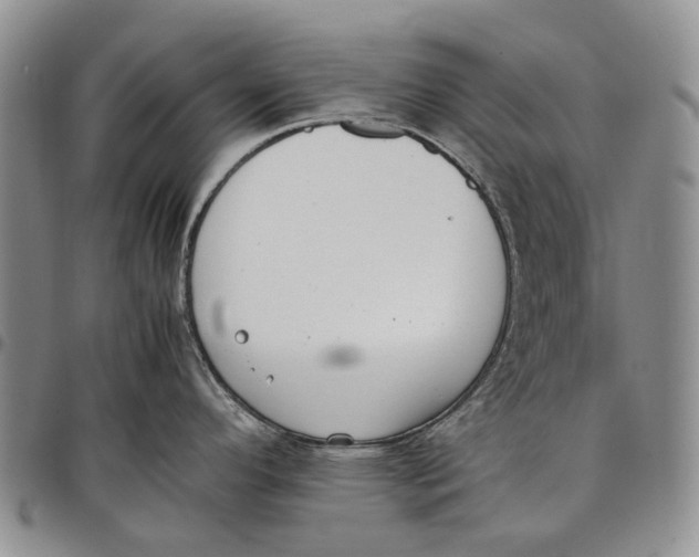 X0000097981296200804141108