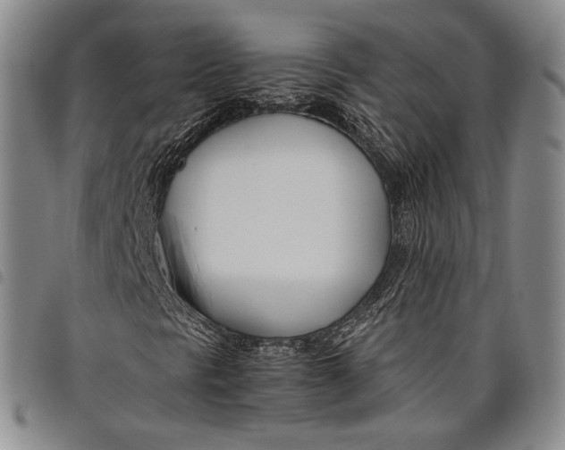 X0000097981297200804141108