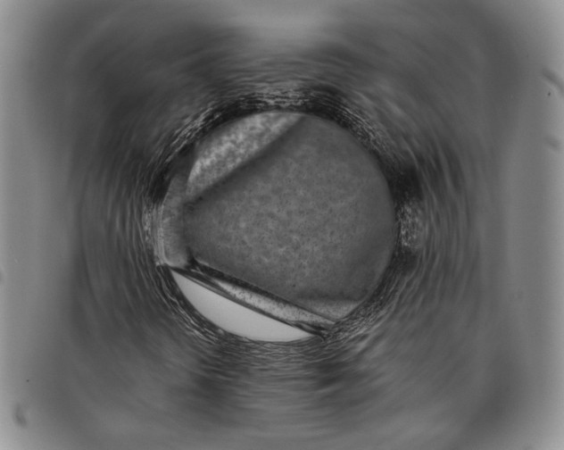 X0000097981298200804141108