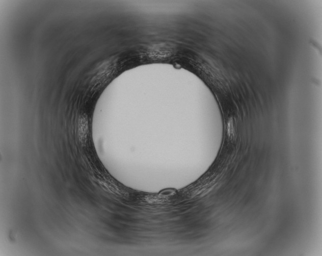 X0000097981299200804141108