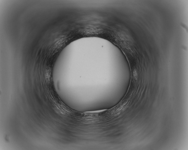 X0000097981300200804141108