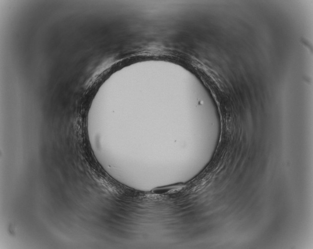 X0000097981304200804141108