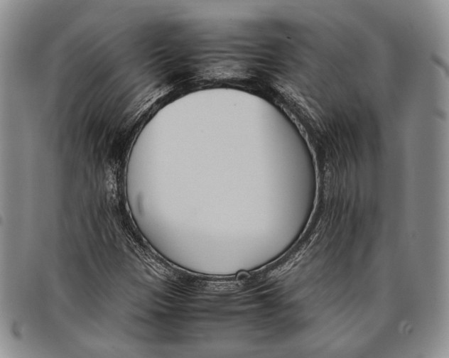 X0000097981305200804141108