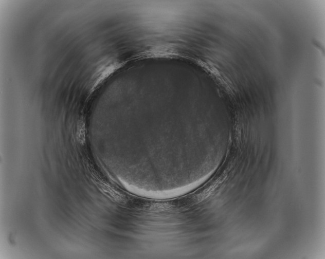 X0000097981306200804141108