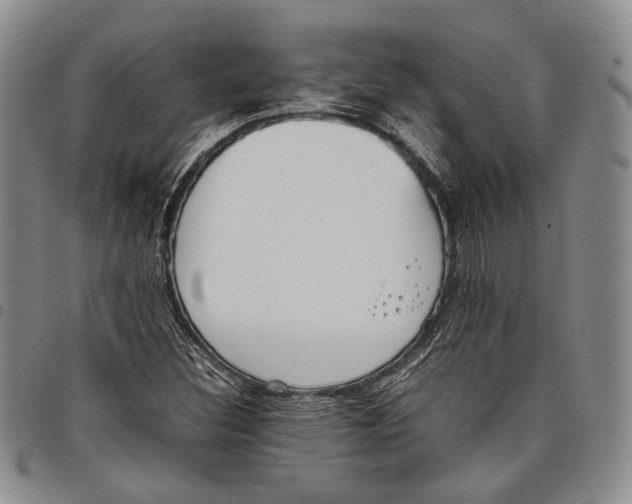 X0000097981308200804141108