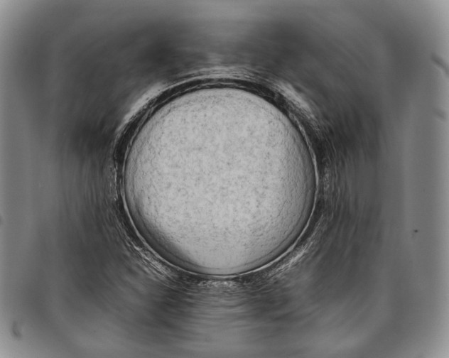 X0000097981310200804141108