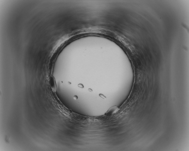 X0000097981312200804141108