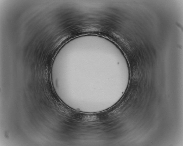 X0000097981313200804141108