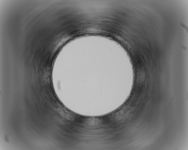 X0000097981314200804141108