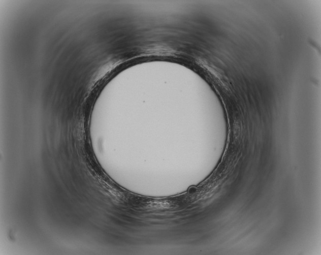 X0000097981315200804141108