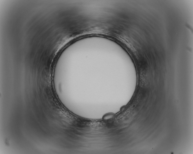 X0000097981316200804141108