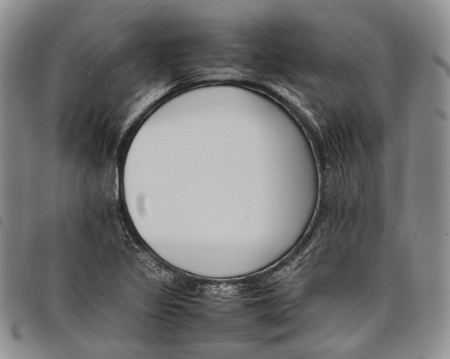 X0000097981317200804141108