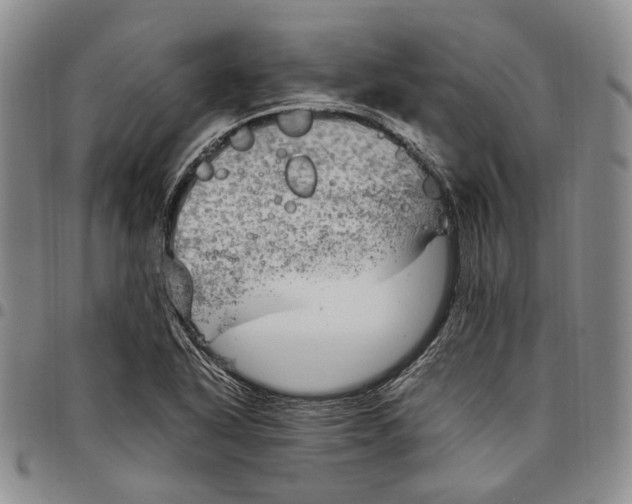 X0000097981318200804141108