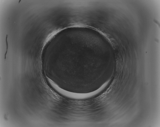 X0000097981319200804141108