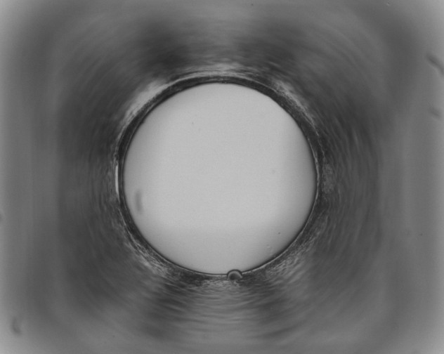 X0000097981320200804141108