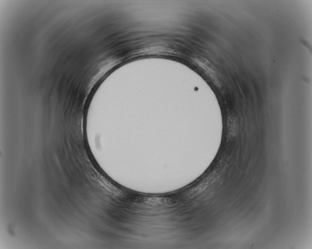 X0000097981322200804141108