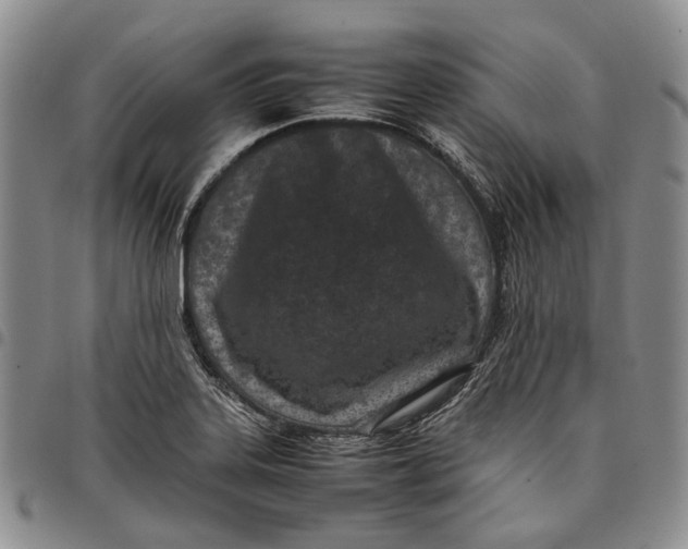 X0000097981323200804141108