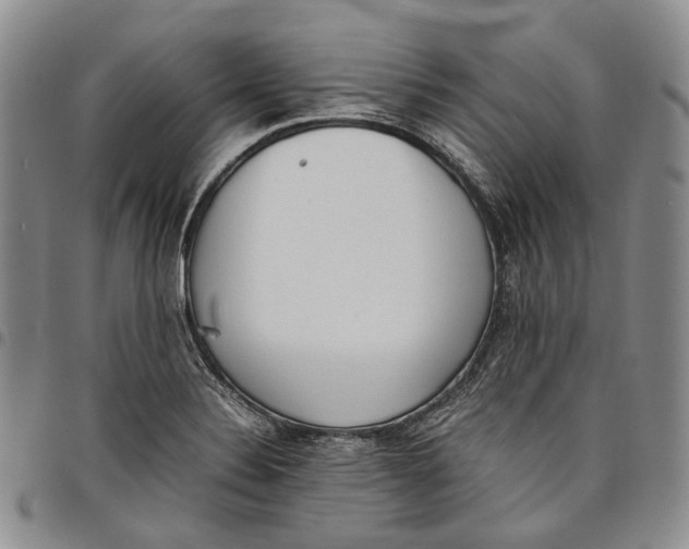 X0000097981324200804141108