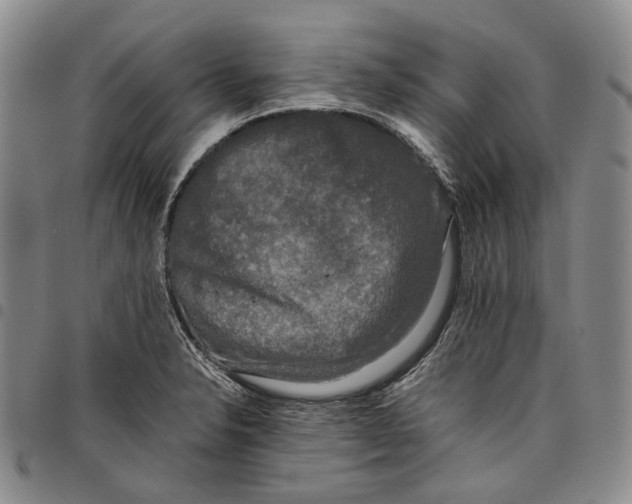 X0000097981326200804141108