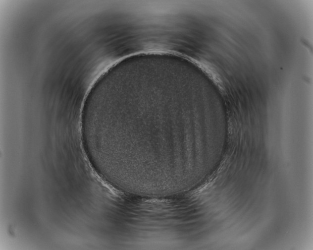 X0000097981327200804141108