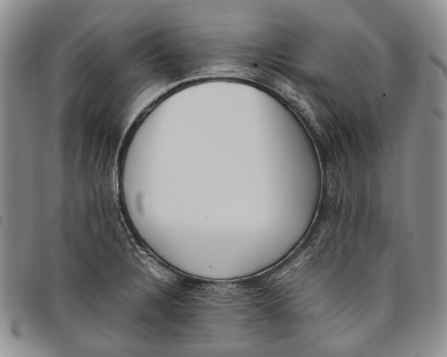 X0000097981328200804141108