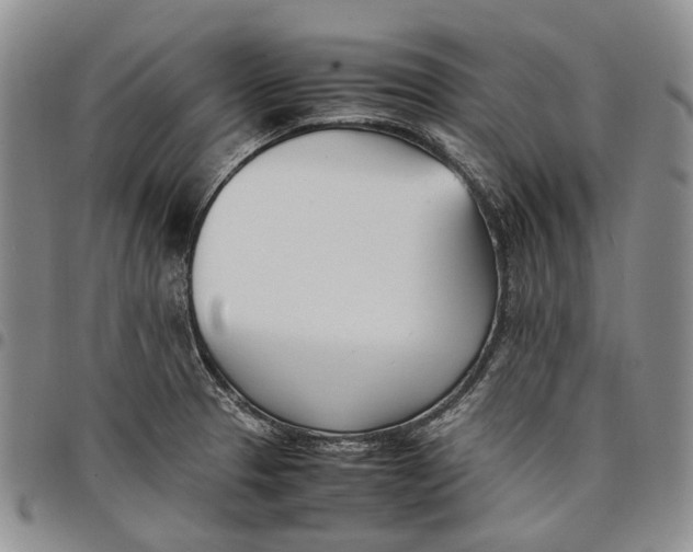 X0000097981329200804141108