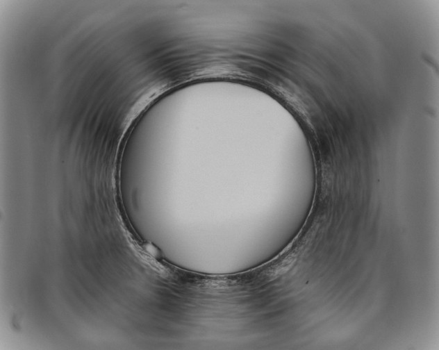 X0000097981330200804141108