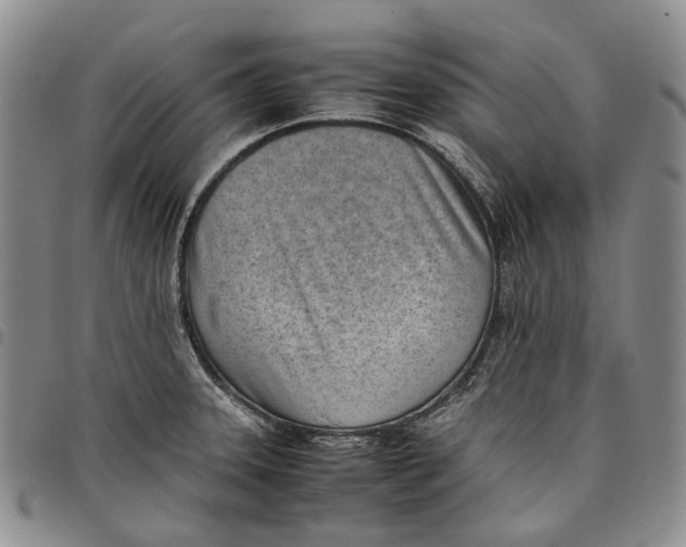 X0000097981331200804141108