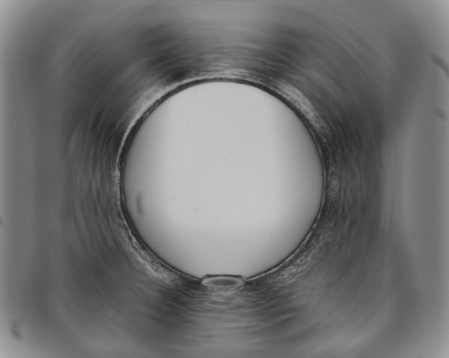 X0000097981332200804141108