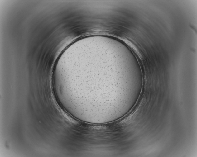 X0000097981333200804141108