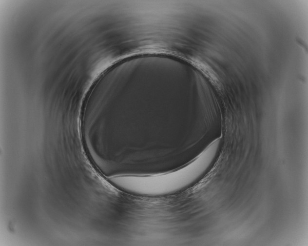 X0000097981334200804141108