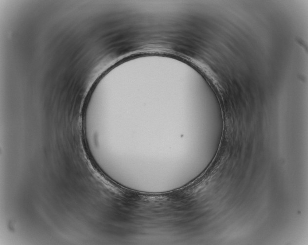 X0000097981335200804141108