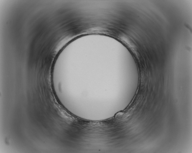 X0000097981336200804141108