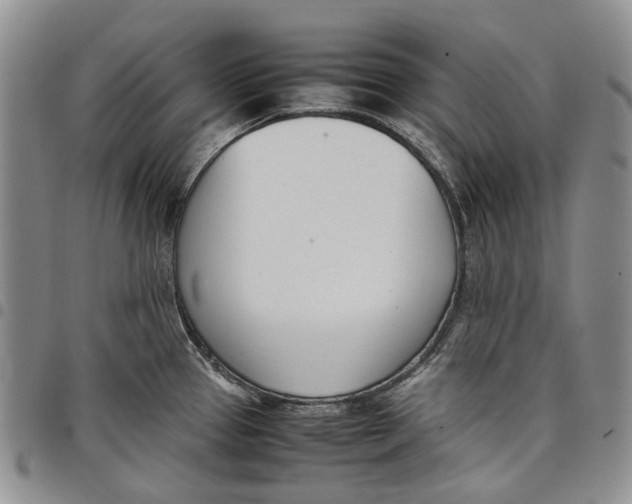 X0000097981337200804141108