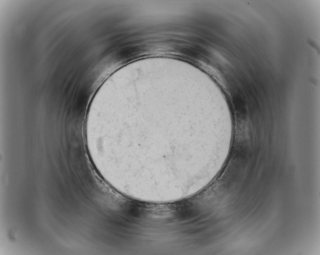 X0000097981338200804141108