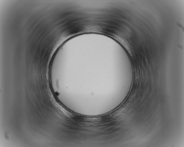 X0000097981339200804141108