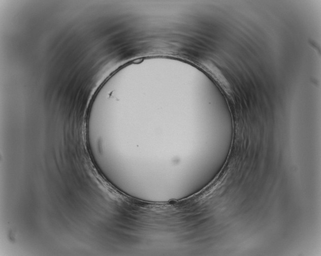 X0000097981340200804141108