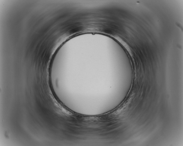 X0000097981341200804141108