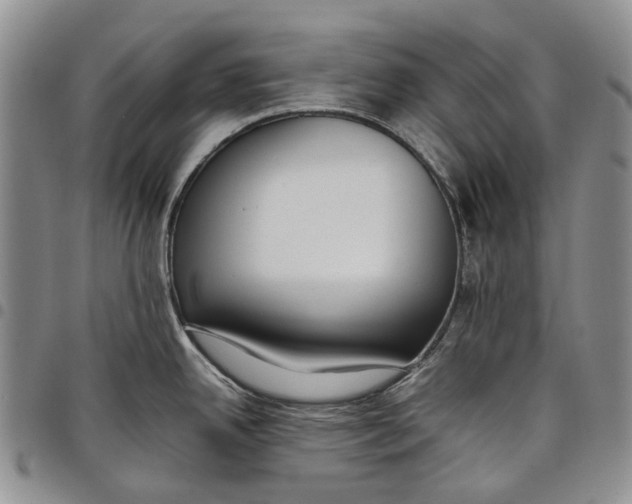 X0000097981342200804141108