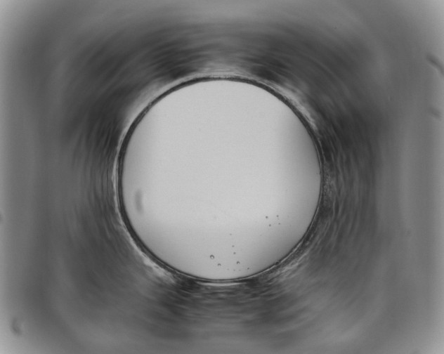 X0000097981343200804141108