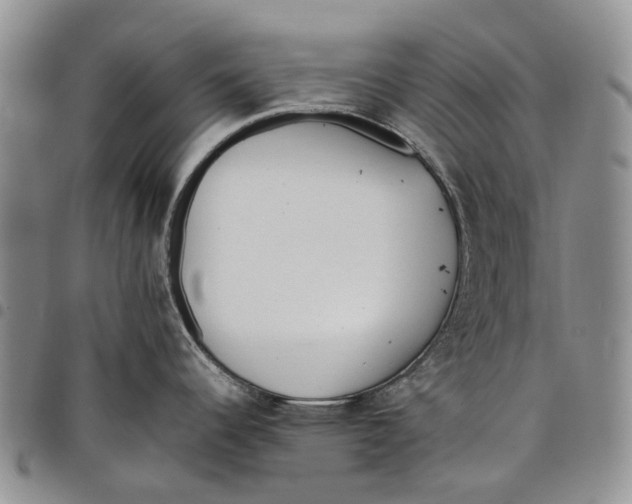 X0000097981344200804141108