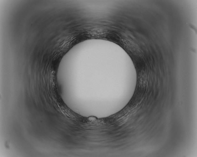 X0000097981346200804141108