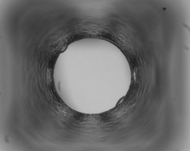 X0000097981347200804141108