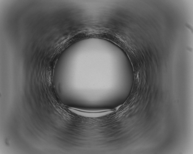 X0000097981348200804141108