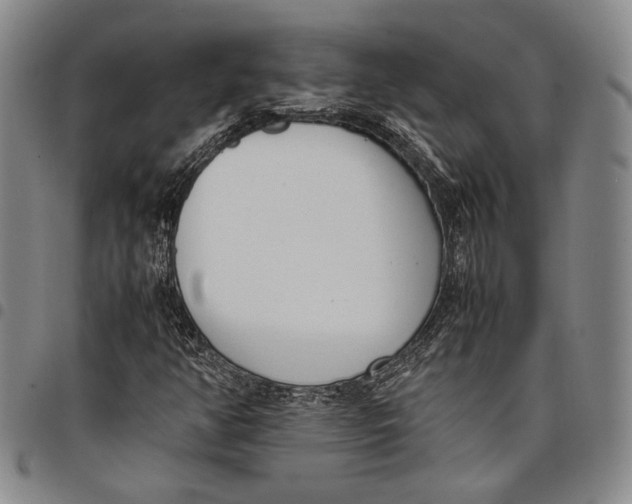 X0000097981350200804141108