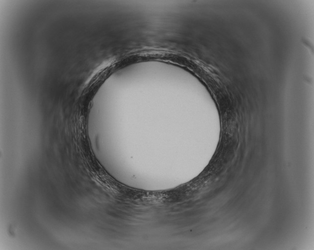 X0000097981351200804141108